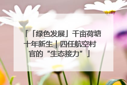 「绿色发展」千亩荷塘 十年新生｜四任航空村官的“生态接力”