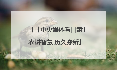 「中央媒体看甘肃」农耕智慧 历久弥新