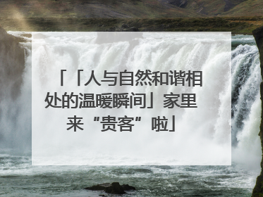「人与自然和谐相处的温暖瞬间」家里来“贵客”啦
