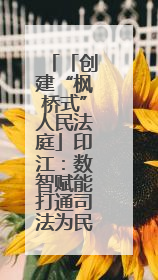 「创建“枫桥式”人民法庭」印江：数智赋能打通司法为民“最后一公里”