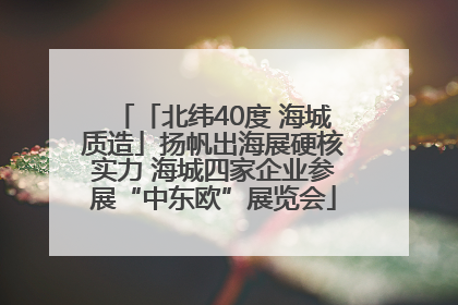 「北纬40度 海城质造」扬帆出海展硬核实力 海城四家企业参展“中东欧”展览会