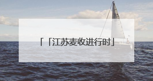 「江苏麦收进行时」父女俩的智慧麦收