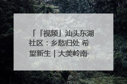 「视频」汕头东湖社区：乡愁归处 希望新生｜大美岭南·百村焕新记