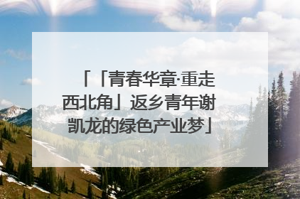 「青春华章·重走西北角」返乡青年谢凯龙的绿色产业梦