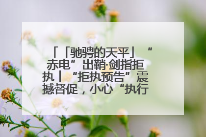 「驰骋的天平」“赤电”出鞘·剑指拒执︱“拒执预告”震撼督促，小心“执行”变“执刑”