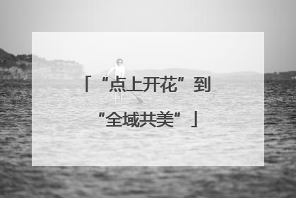 “点上开花”到“全域共美”
