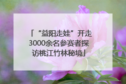 “益阳走娃”开走 3000余名参赛者探访桃江竹林秘境