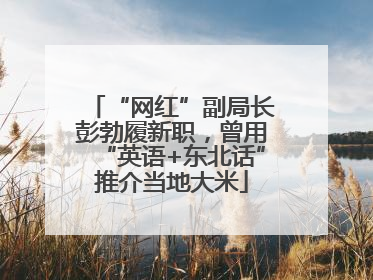 “网红”副局长彭勃履新职，曾用“英语+东北话”推介当地大米