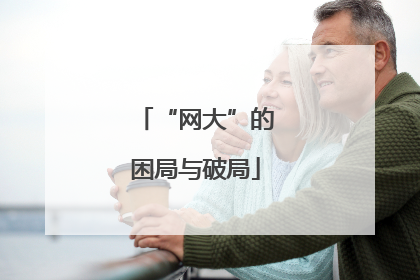 “网大”的困局与破局