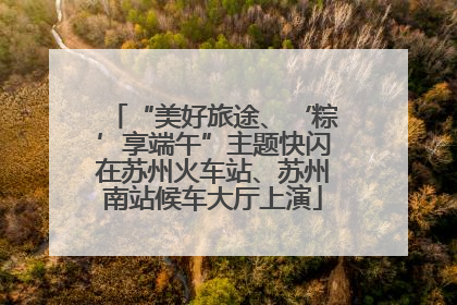 “美好旅途、‘粽’享端午”主题快闪在苏州火车站、苏州南站候车大厅上演
