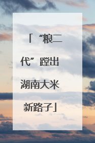 “粮二代”蹚出湖南大米新路子