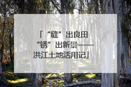 “缝”出良田 “锈”出新景——洪江土地活用记