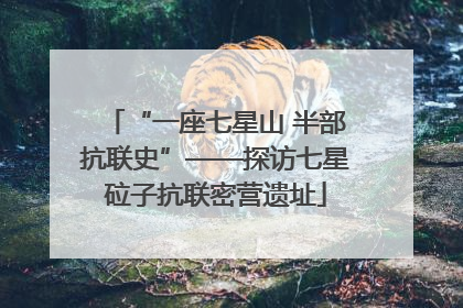 “一座七星山 半部抗联史”——探访七星砬子抗联密营遗址