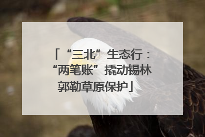 “三北”生态行：“两笔账”撬动锡林郭勒草原保护