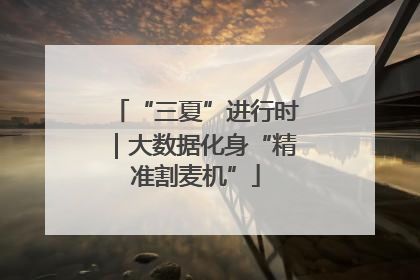 “三夏”进行时｜大数据化身“精准割麦机”