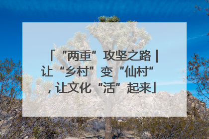 “两重”攻坚之路｜让“乡村”变“仙村”，让文化“活”起来