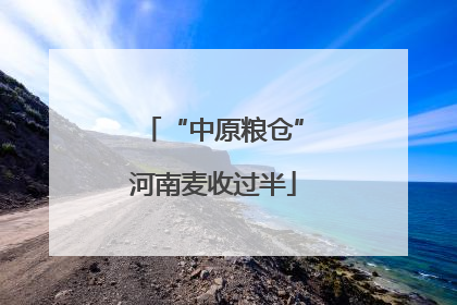 “中原粮仓”河南麦收过半