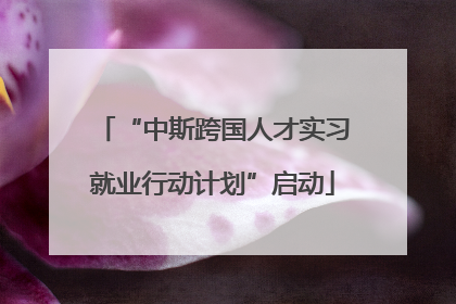 “中斯跨国人才实习就业行动计划”启动