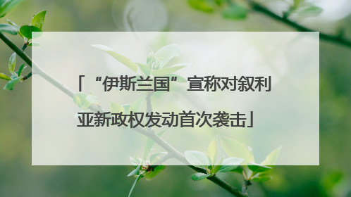 “伊斯兰国”宣称对叙利亚新政权发动首次袭击