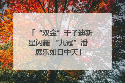 “双金”于子迪新星闪耀 “九冠”潘展乐如日中天