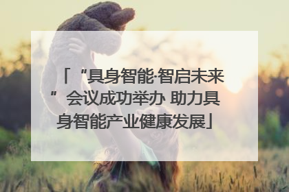 “具身智能·智启未来”会议成功举办 助力具身智能产业健康发展
