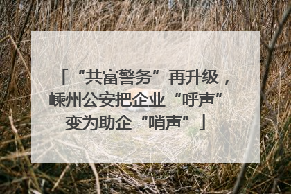 “共富警务”再升级，嵊州公安把企业“呼声”变为助企“哨声”