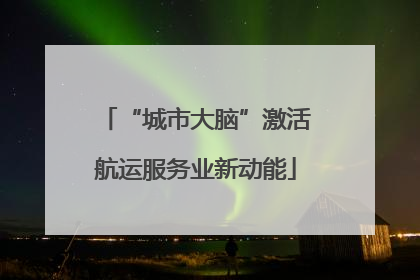 “城市大脑”激活航运服务业新动能