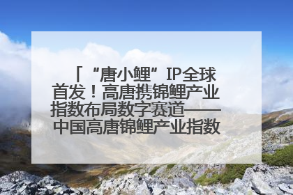 “唐小鲤”IP全球首发！高唐携锦鲤产业指数布局数字赛道——中国高唐锦鲤产业指数暨“唐小鲤”IP全球首发仪式在杭州举行