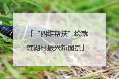 “四维帮扶”绘就莲湖村振兴新图景
