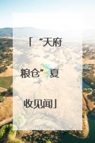 “天府粮仓”夏收见闻