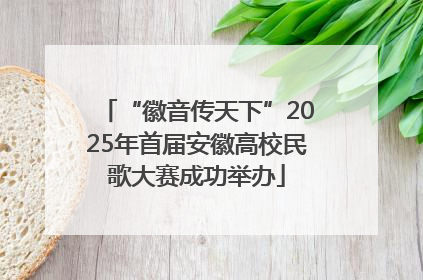“徽音传天下”2025年首届安徽高校民歌大赛成功举办