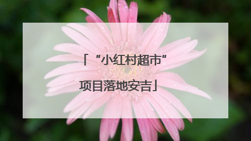 “小红村超市”项目落地安吉