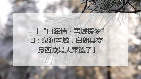 “山海情・雪域援梦”⑪：泉润雪域，白朗县变身西藏最大菜篮子