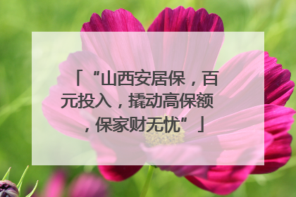 “山西安居保，百元投入，撬动高保额，保家财无忧”