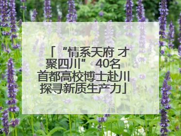 “情系天府 才聚四川” 40名首都高校博士赴川探寻新质生产力