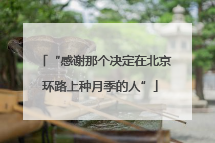 “感谢那个决定在北京环路上种月季的人”