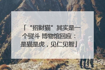 “招财猫”其实是一个熨斗 博物馆回应：是猫是虎，见仁见智