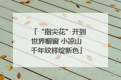 “指尖花”开到世界橱窗 小凉山千年纹样绽新色