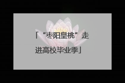 “枣阳皇桃”走进高校毕业季
