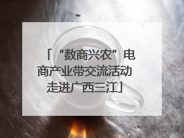 “数商兴农”电商产业带交流活动走进广西三江