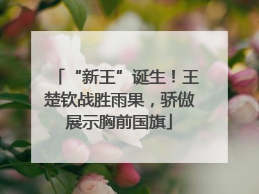 “新王”诞生！王楚钦战胜雨果，骄傲展示胸前国旗