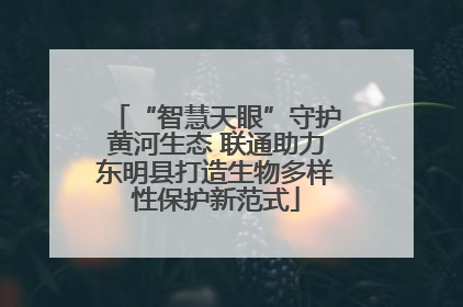 “智慧天眼”守护黄河生态 联通助力东明县打造生物多样性保护新范式