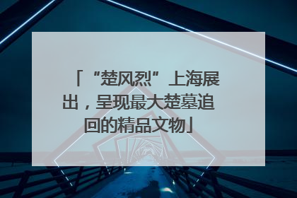 “楚风烈”上海展出，呈现最大楚墓追回的精品文物