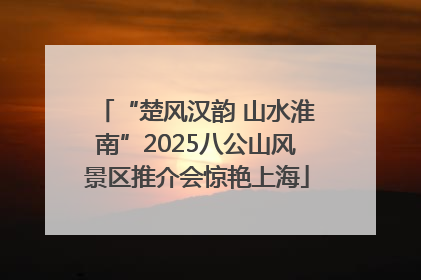 “楚风汉韵 山水淮南”2025八公山风景区推介会惊艳上海
