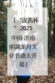 “汉酱杯”2025中国·济南明湖龙舟文化节盛大开幕