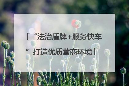 “法治盾牌+服务快车”打造优质营商环境