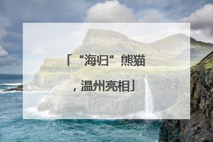 “海归”熊猫，温州亮相