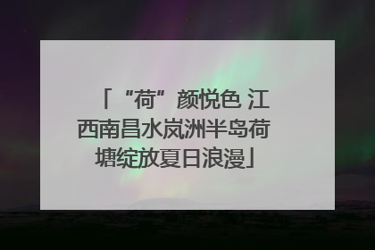 “荷”颜悦色 江西南昌水岚洲半岛荷塘绽放夏日浪漫