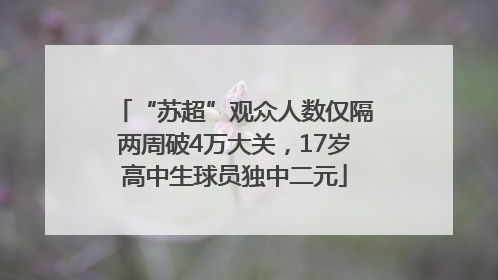 “苏超”观众人数仅隔两周破4万大关，17岁高中生球员独中二元