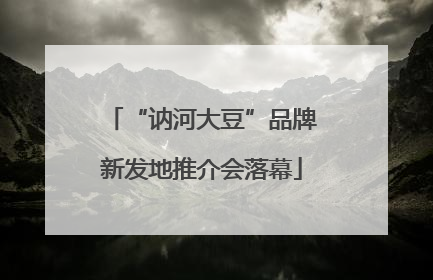 “讷河大豆”品牌新发地推介会落幕